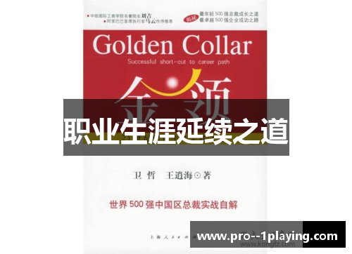 职业生涯延续之道 职业生涯延续之道