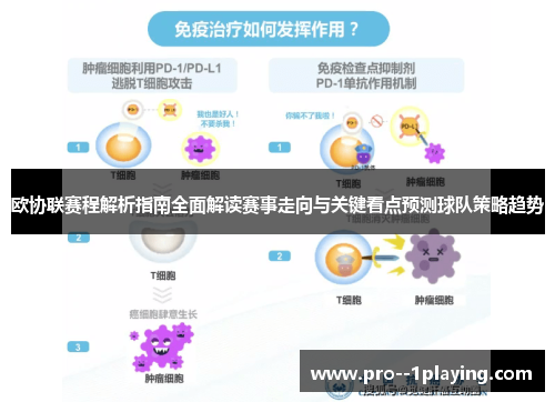 欧协联赛程解析指南全面解读赛事走向与关键看点预测球队策略趋势 欧协联赛程解析指南全面解读赛事走向与关键看点预测球队策略趋势