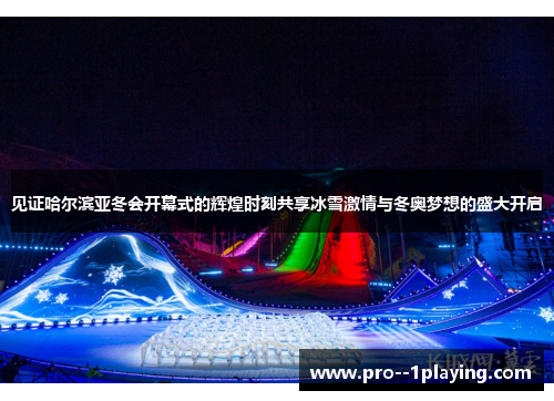 见证哈尔滨亚冬会开幕式的辉煌时刻共享冰雪激情与冬奥梦想的盛大开启