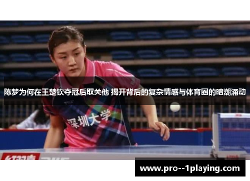 陈梦为何在王楚钦夺冠后取关他 揭开背后的复杂情感与体育圈的暗潮涌动
