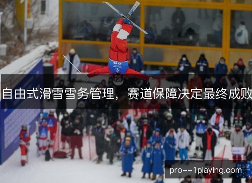 自由式滑雪雪务管理，赛道保障决定最终成败